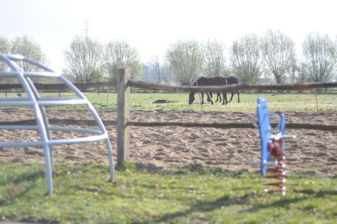 Wilgenwind Villa Sijsele Kültér fotó